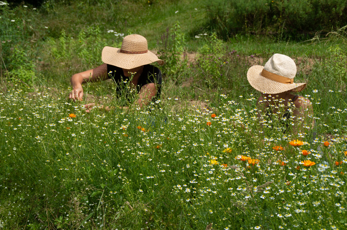 La Ferme des Simples