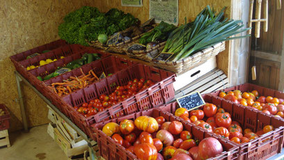 La ferme Âne & Carotte